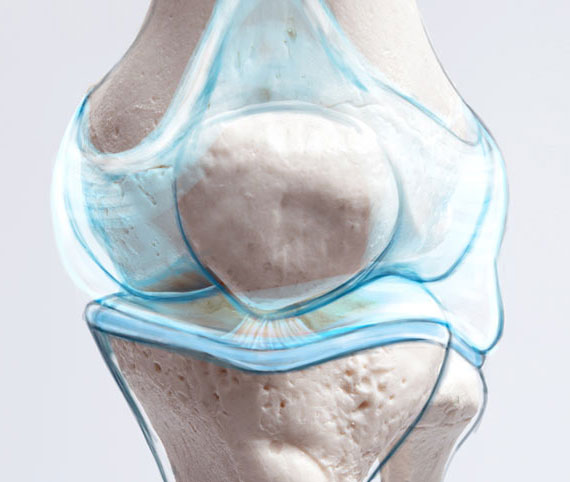 Bone on Bone Pain?