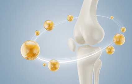 Bone Repair