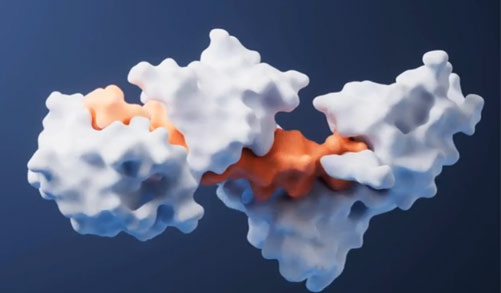 Enzyme